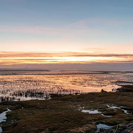 Krebs By Interhome *